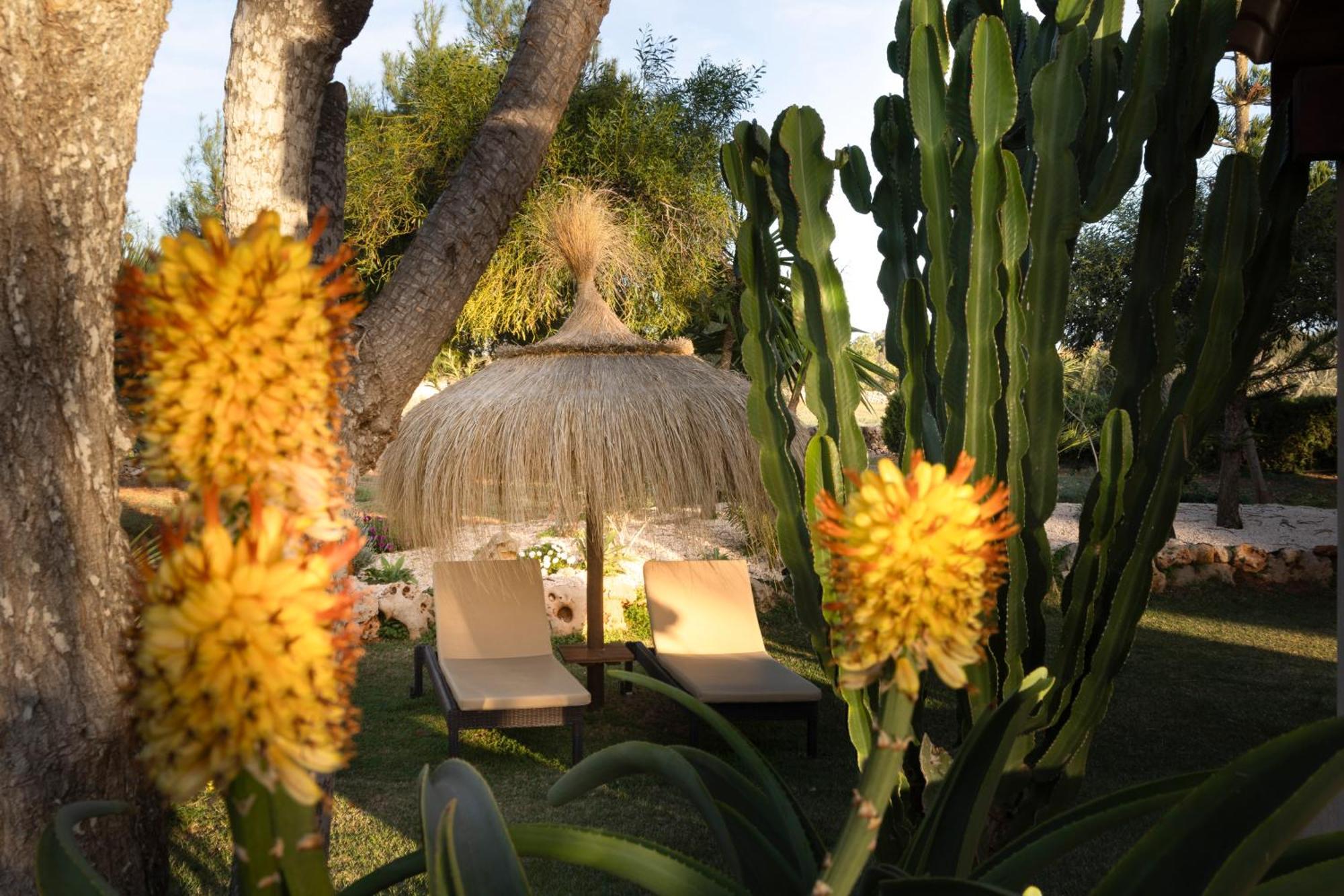 Agroturismo Finca Sa Tanca Cala d'Or (Mallorca) Exterior foto
