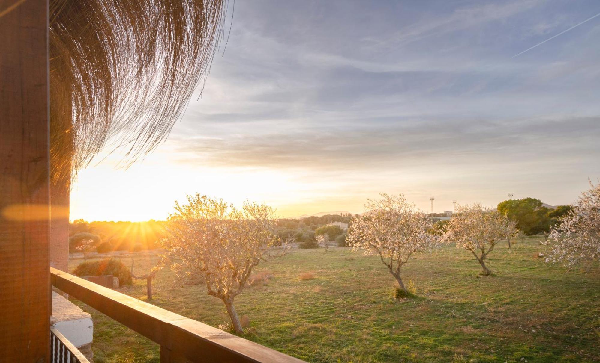 Agroturismo Finca Sa Tanca Cala d'Or (Mallorca) Exterior foto