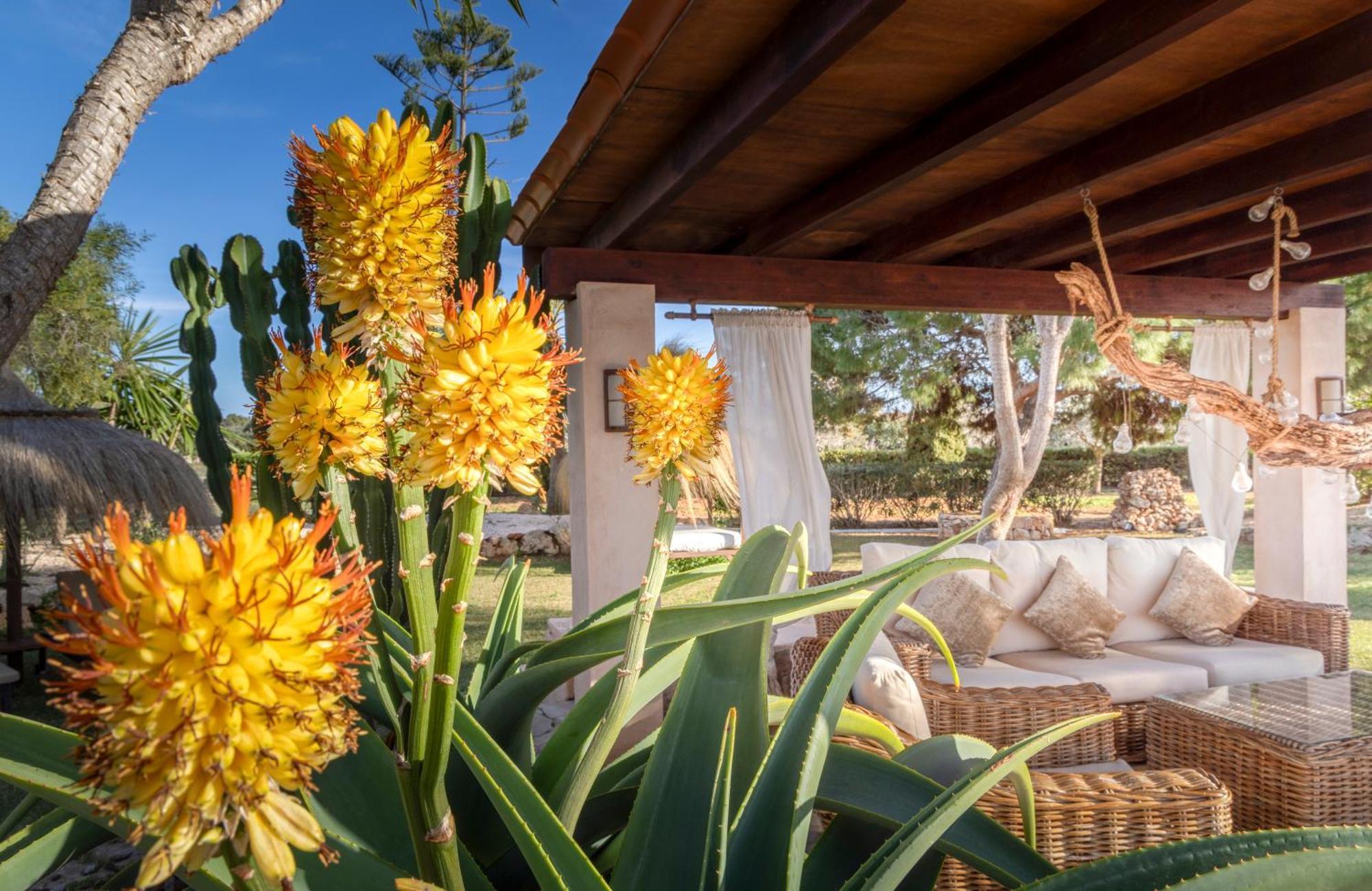Agroturismo Finca Sa Tanca Cala d'Or (Mallorca) Exterior foto